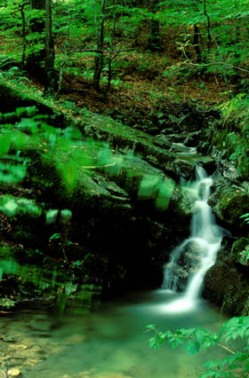 Nationalpark Risnjak 30
